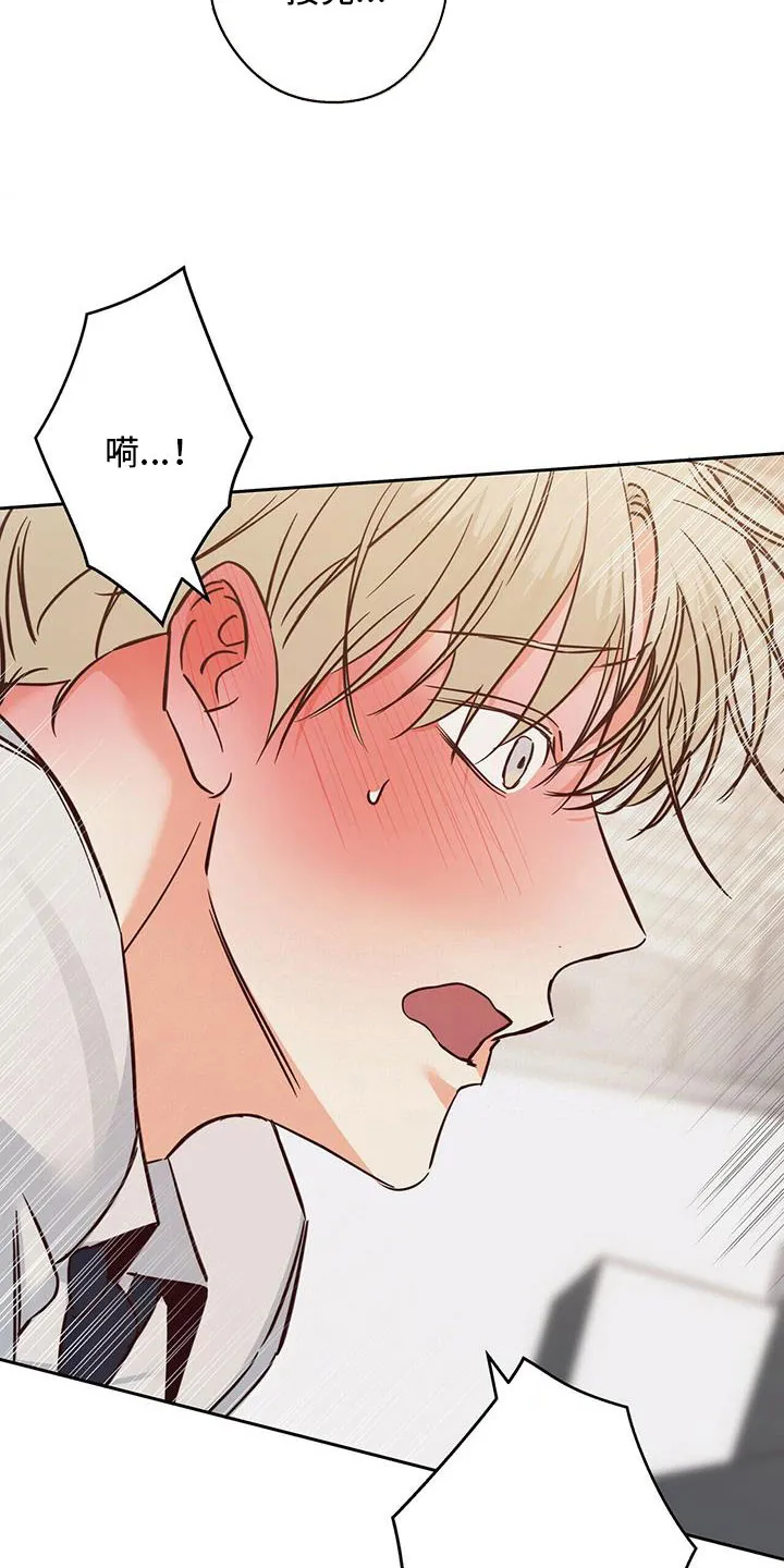 危险便利店漫画免费下拉式漫画,第148章：【第三季】男友电话16图