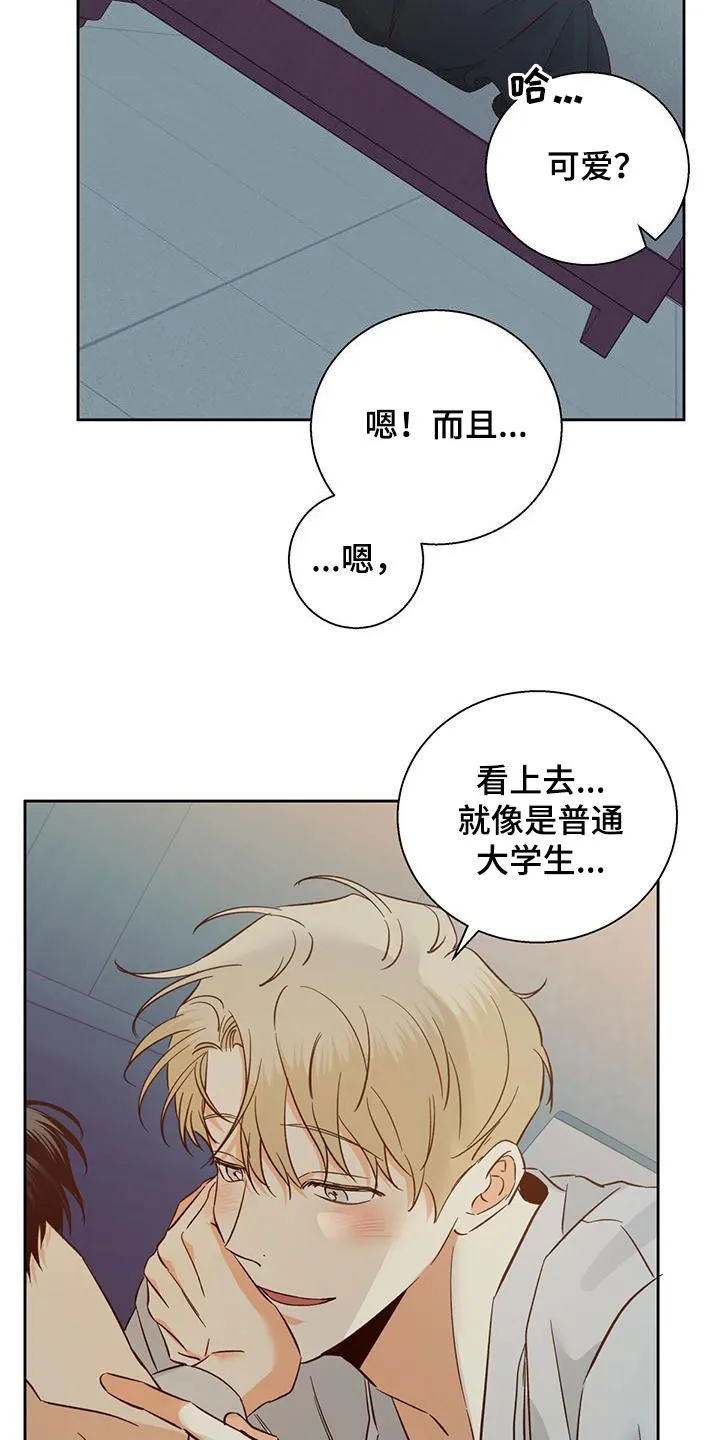 危险便利店漫画漫画,第188章：【番外】普通的故事15图