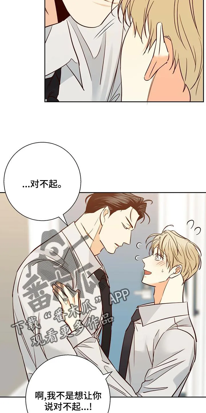 危险便利店38话漫画,第158章：【第三季】情人眼里出西施19图