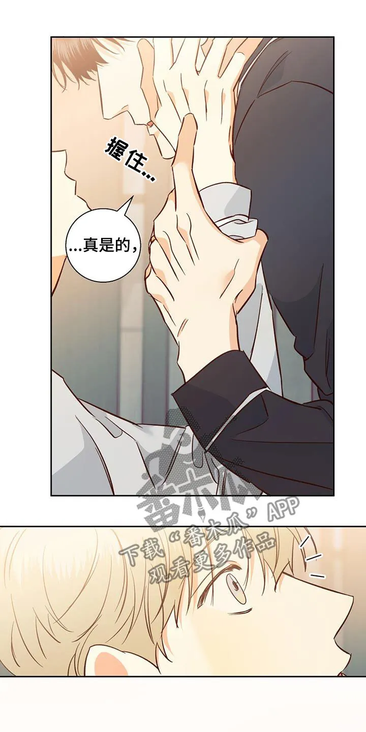 危险便利店漫画无遮挡漫画,第193章：【番外完结】平凡的幸福20图