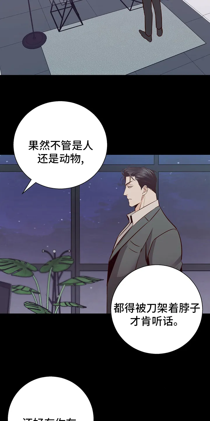 危险便利店漫画是从哪年的漫画,第116章：【番外】身不由己11图