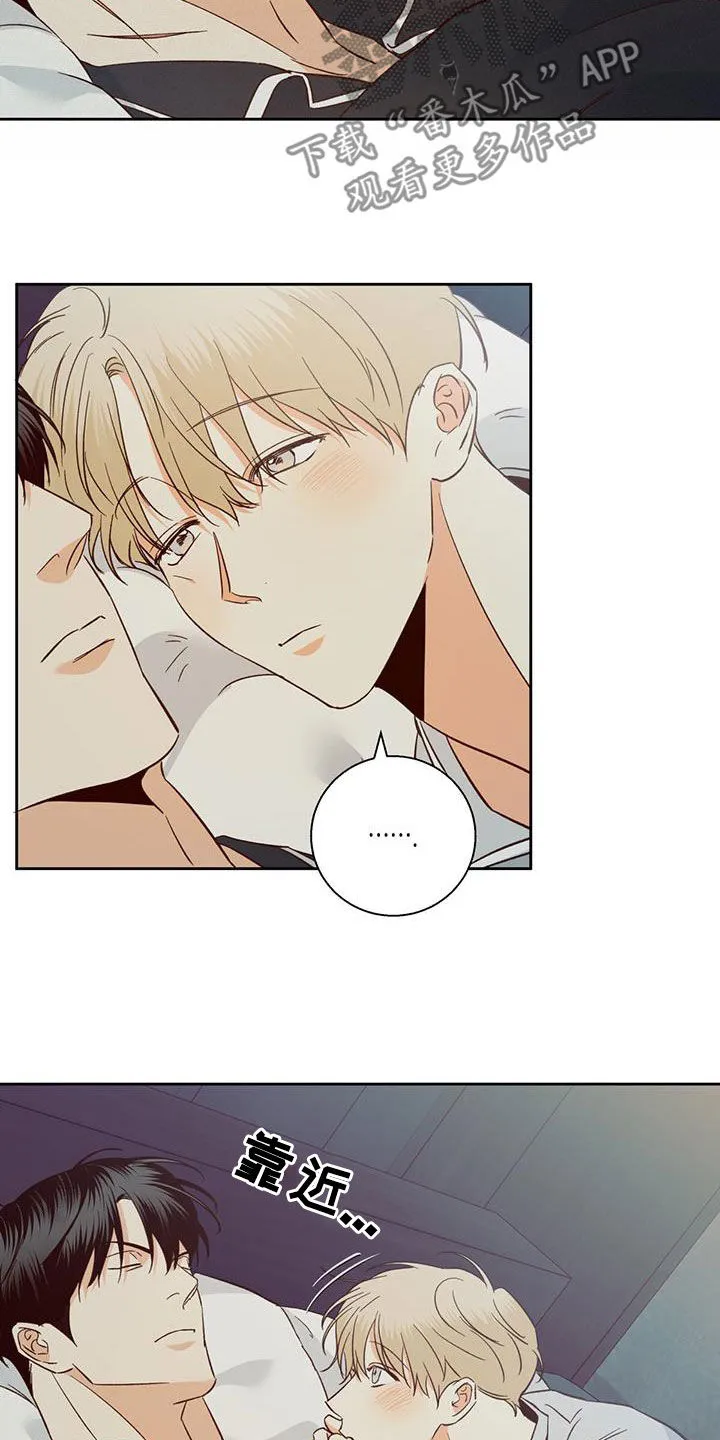 危险便利店漫画漫画,第188章：【番外】普通的故事11图