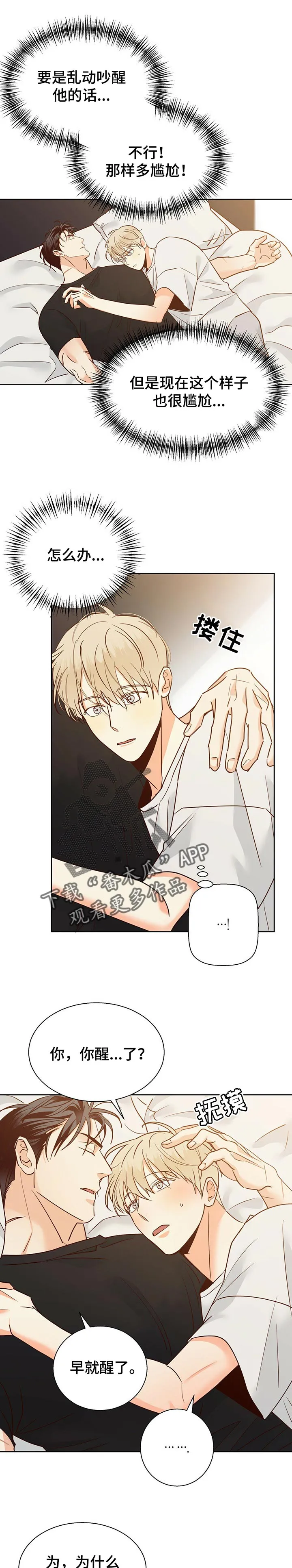 危险便利店漫画免费下拉式漫画,第79章：【第二季】花1图