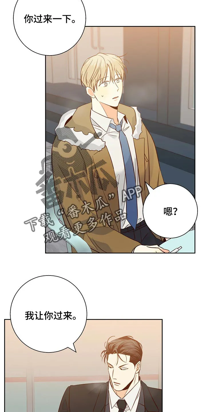 危险便利店漫画免费下拉式漫画,第127章：【第三季】到此为止吧4图
