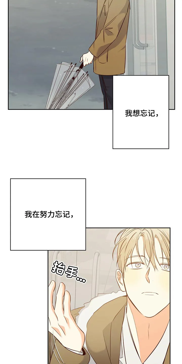 危险便利店漫画免费阅读无删减漫画,第119章：【第三季】无法忘记的某人22图