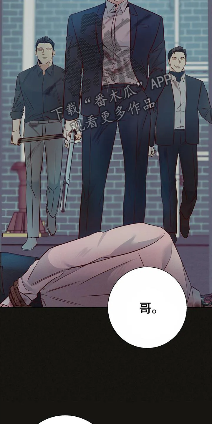 危险便利店名字漫画,第139章：【第三季】放过8图
