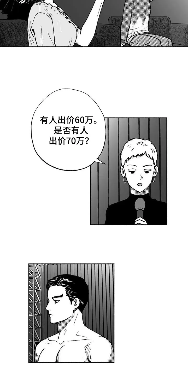 绯色触碰漫画免费阅读全集漫画,第66章：出价10图