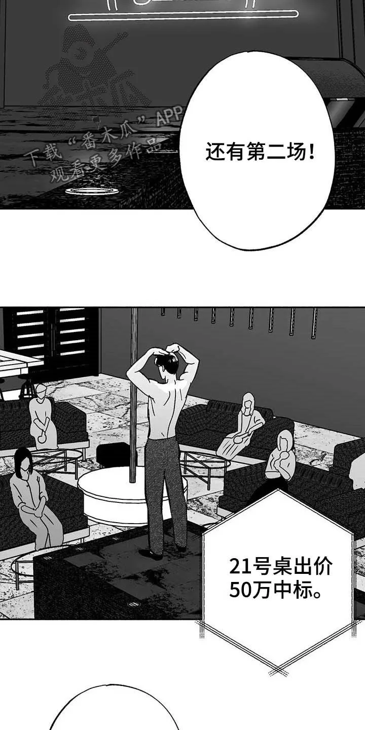 漫画绯色长夜漫画,第28章：竞拍3图