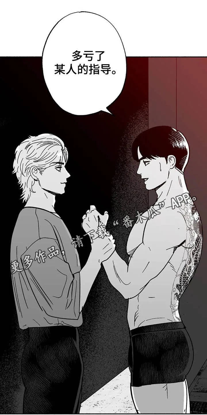 漫画绯色长夜漫画,第28章：竞拍1图