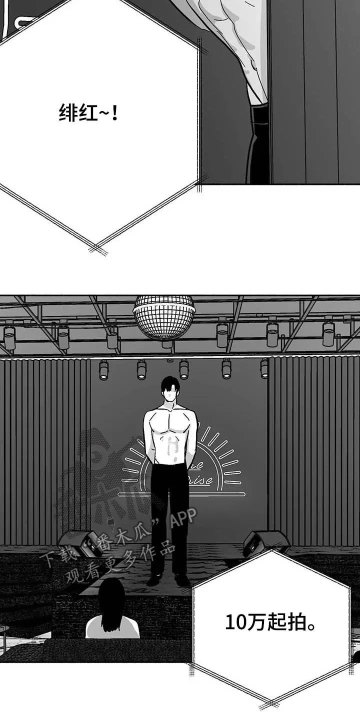 漫画绯色长夜漫画,第28章：竞拍6图