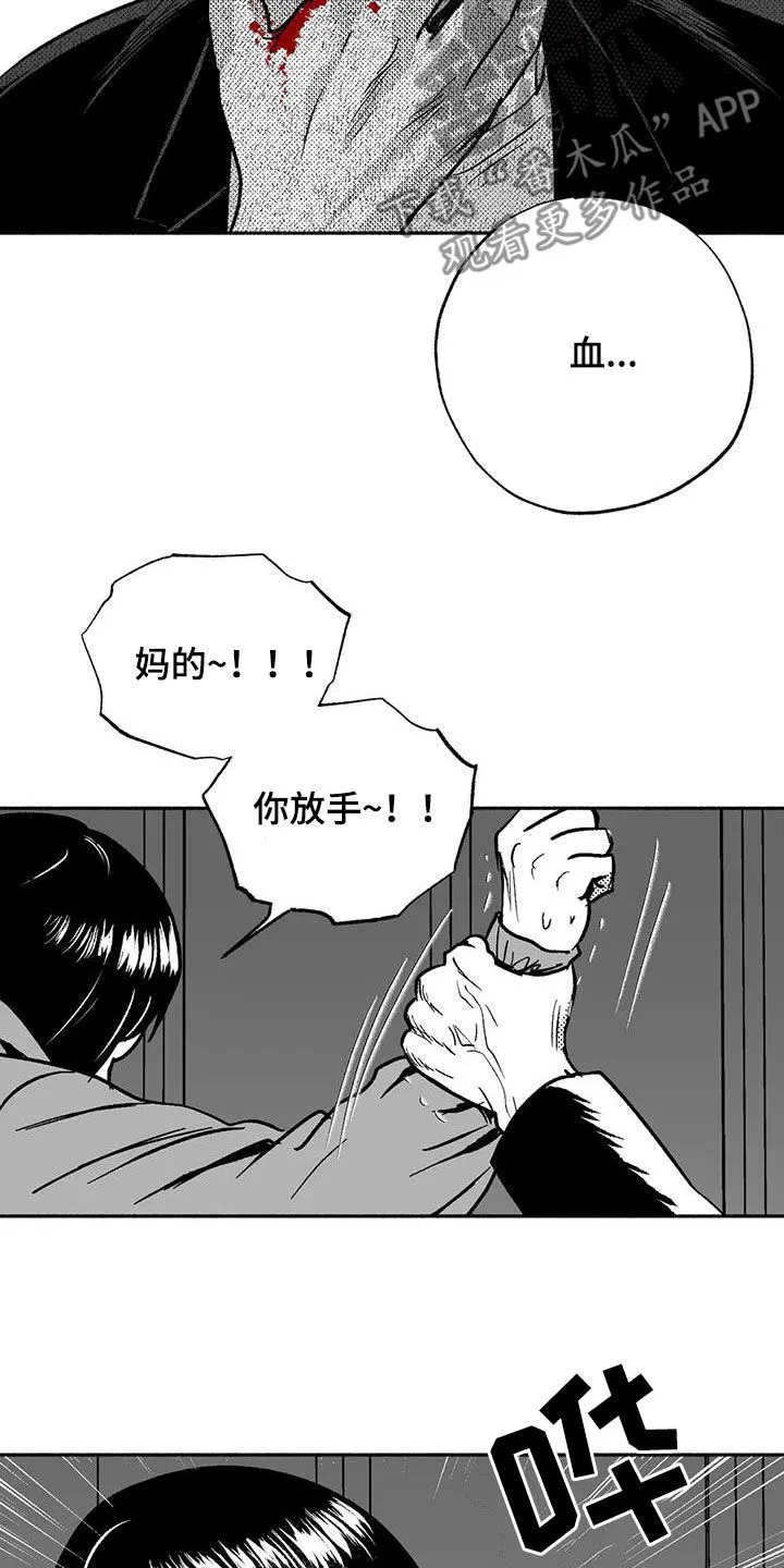 绯色黎明漫画免费看漫画,第54章：受伤12图