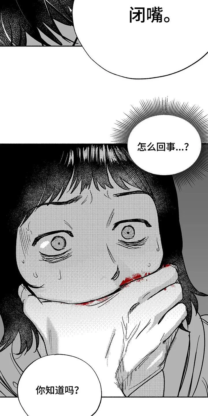 绯色黎明漫画免费看漫画,第54章：受伤15图