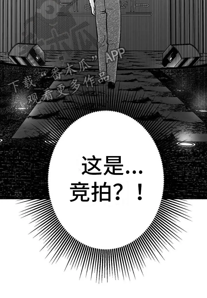 绯色黎明漫画免费看漫画,第14章：第二场节目28图