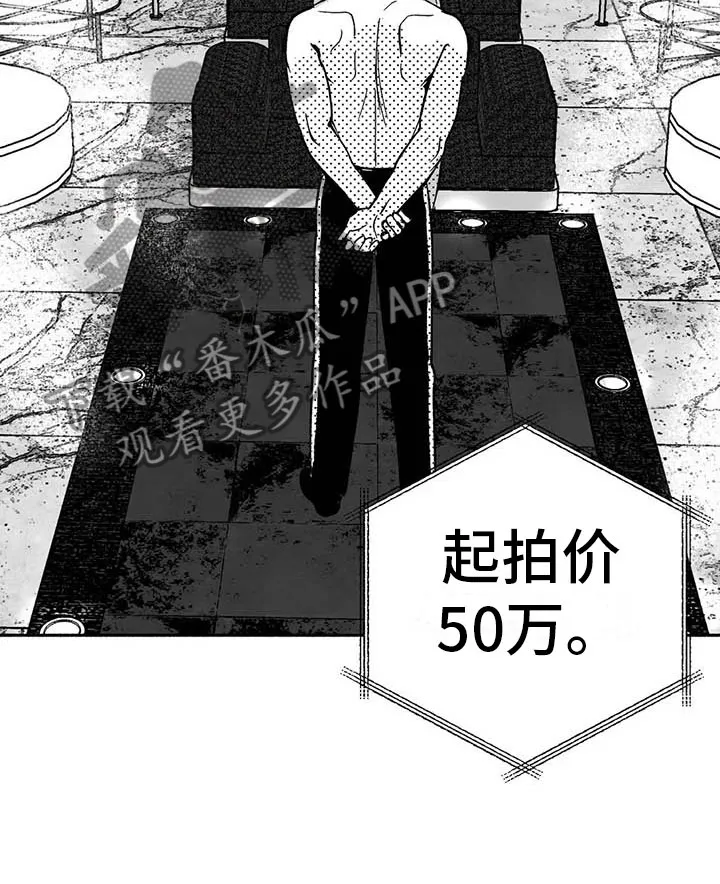 绯色长夜漫画漫画,第15章：王牌竞拍28图