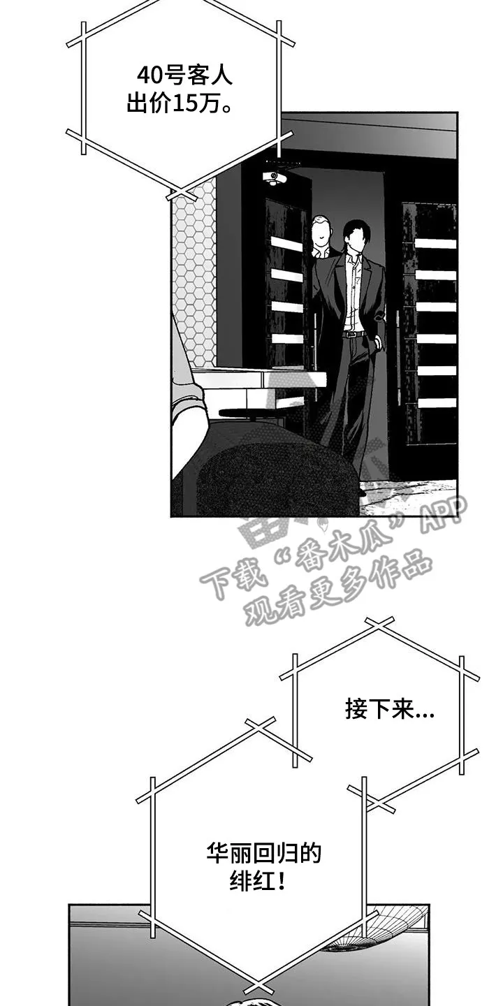 绯色触碰漫画免费阅读全集漫画,第66章：出价8图