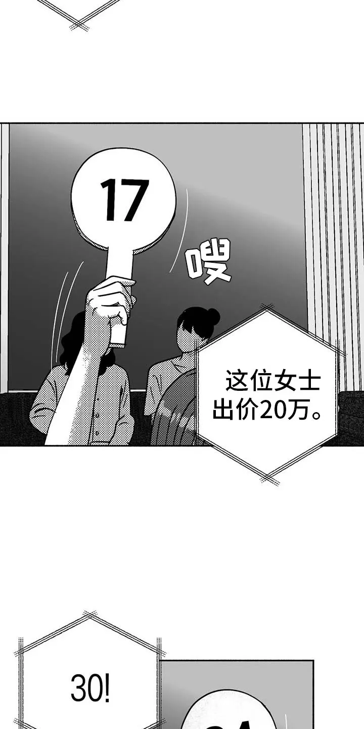 绯色长夜漫画漫画,第15章：王牌竞拍11图