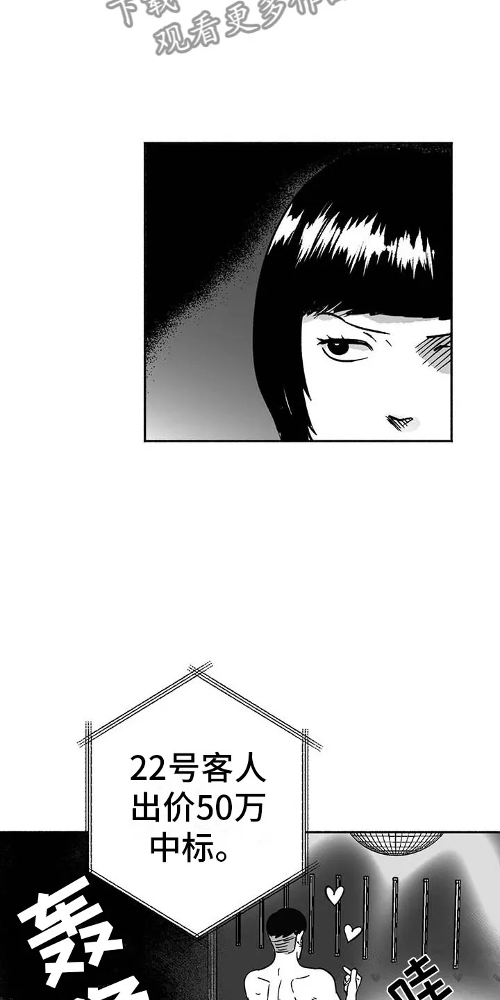 绯色长夜漫画漫画,第15章：王牌竞拍17图
