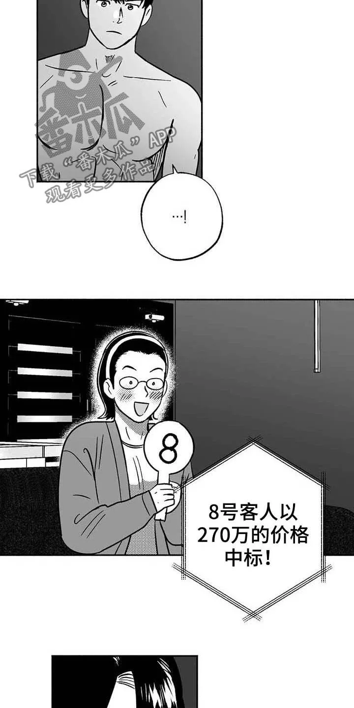 绯色长夜漫画漫画,第38章：陪衬11图