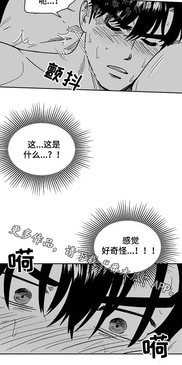 漫画绯色长夜漫画,第35章：标本20图