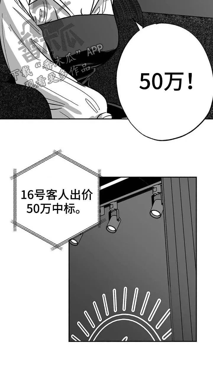 漫画绯色长夜漫画,第28章：竞拍11图