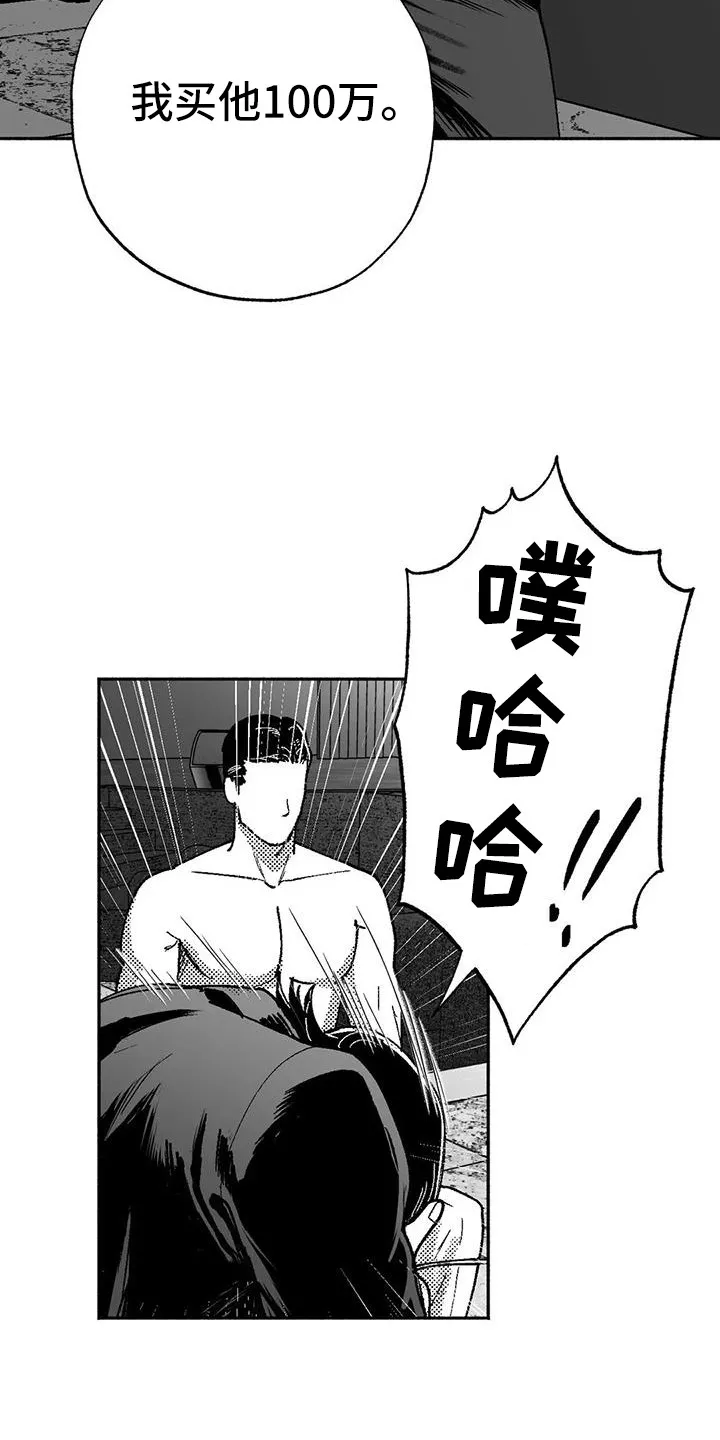 绯色触碰漫画免费阅读全集漫画,第66章：出价14图