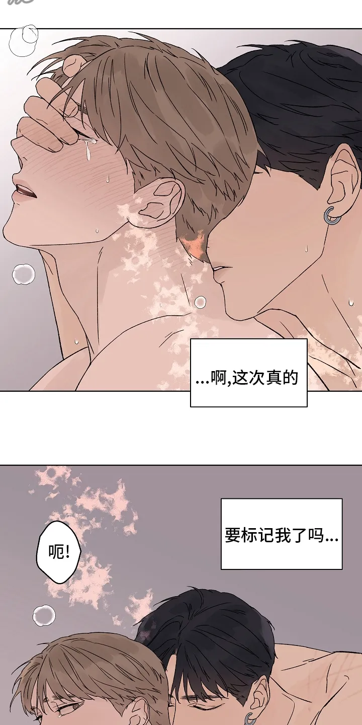 温度与爱漫画漫画,第108章：【第二季】到底为什么20图