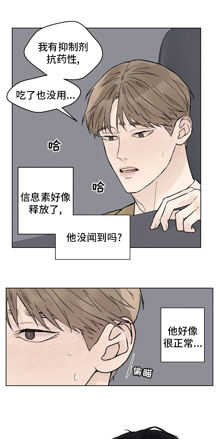 温度与爱漫画漫画,第93章：【第二季】命中注定2图