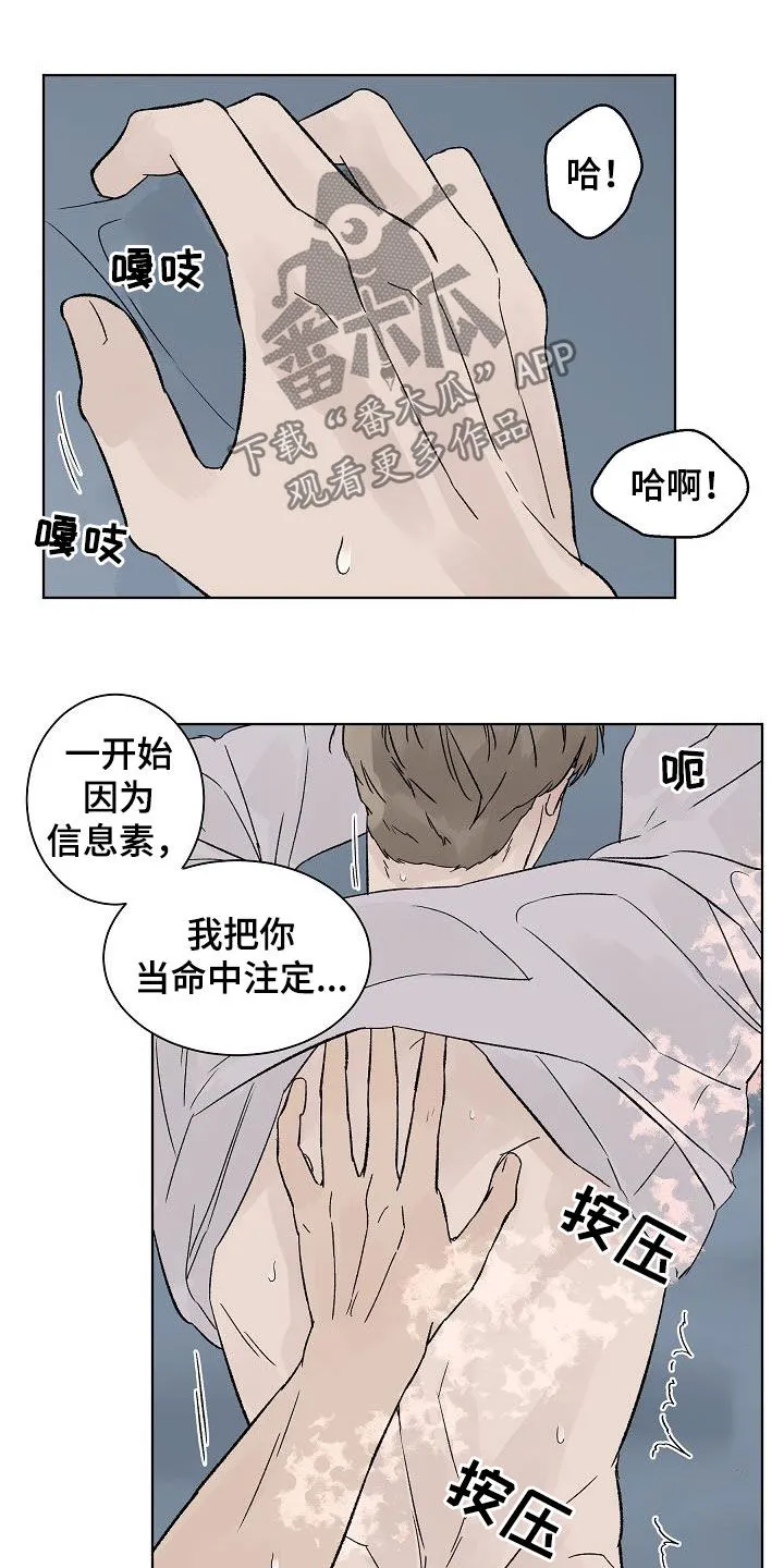 温度与爱漫画漫画,第112章：【第二季】标记12图