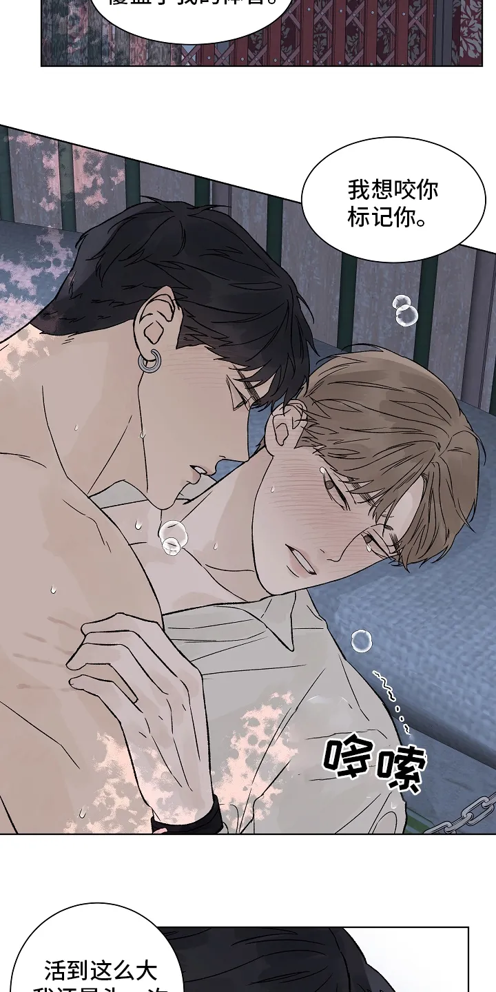 温度与爱漫画漫画,第98章：【第二季】命运3图