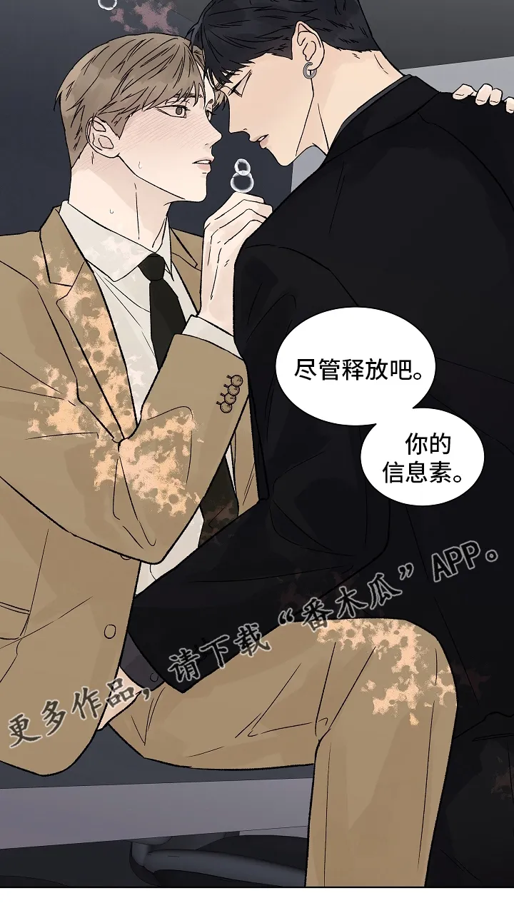 温度与爱漫画漫画,第93章：【第二季】命中注定18图
