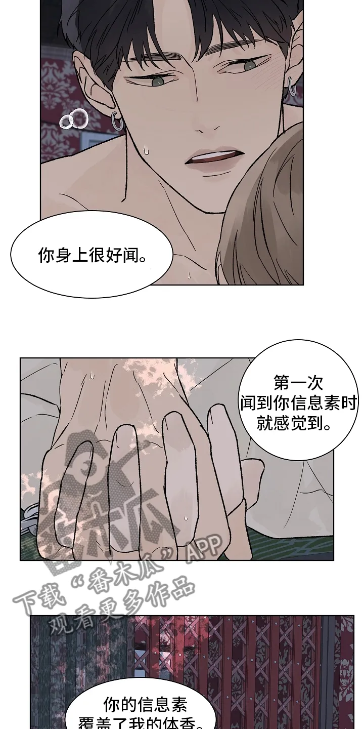 温度与爱漫画漫画,第98章：【第二季】命运2图