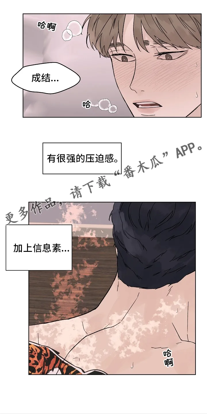 温度与爱漫画漫画,第108章：【第二季】到底为什么1图