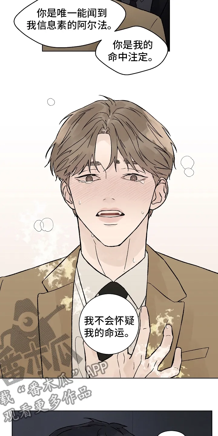 温度与爱漫画漫画,第93章：【第二季】命中注定11图