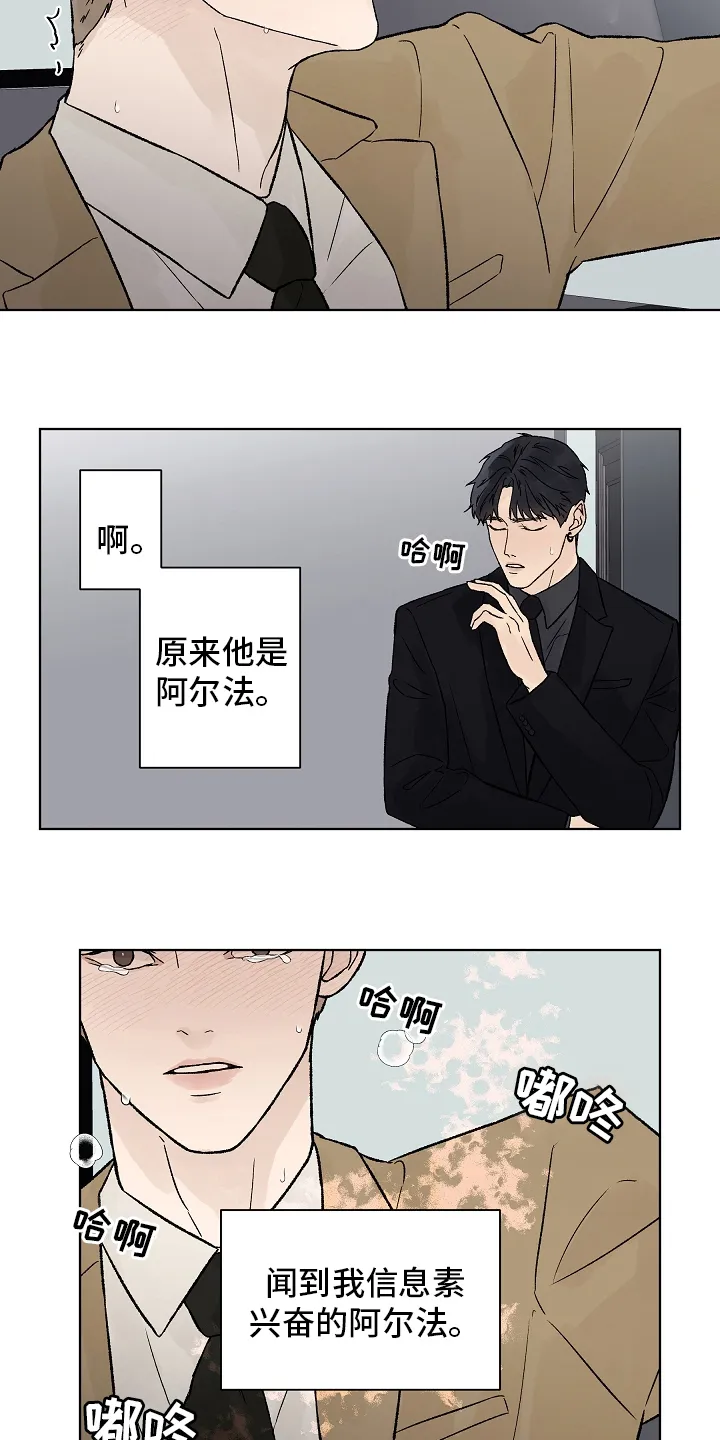 温度与爱漫画漫画,第93章：【第二季】命中注定4图