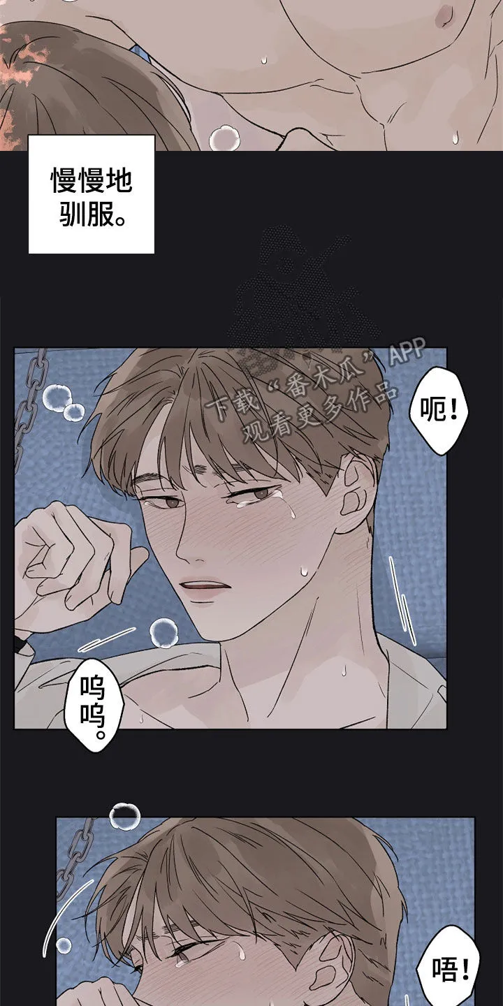 最佳温度漫画漫画,第114章：【第二季】掌控12图
