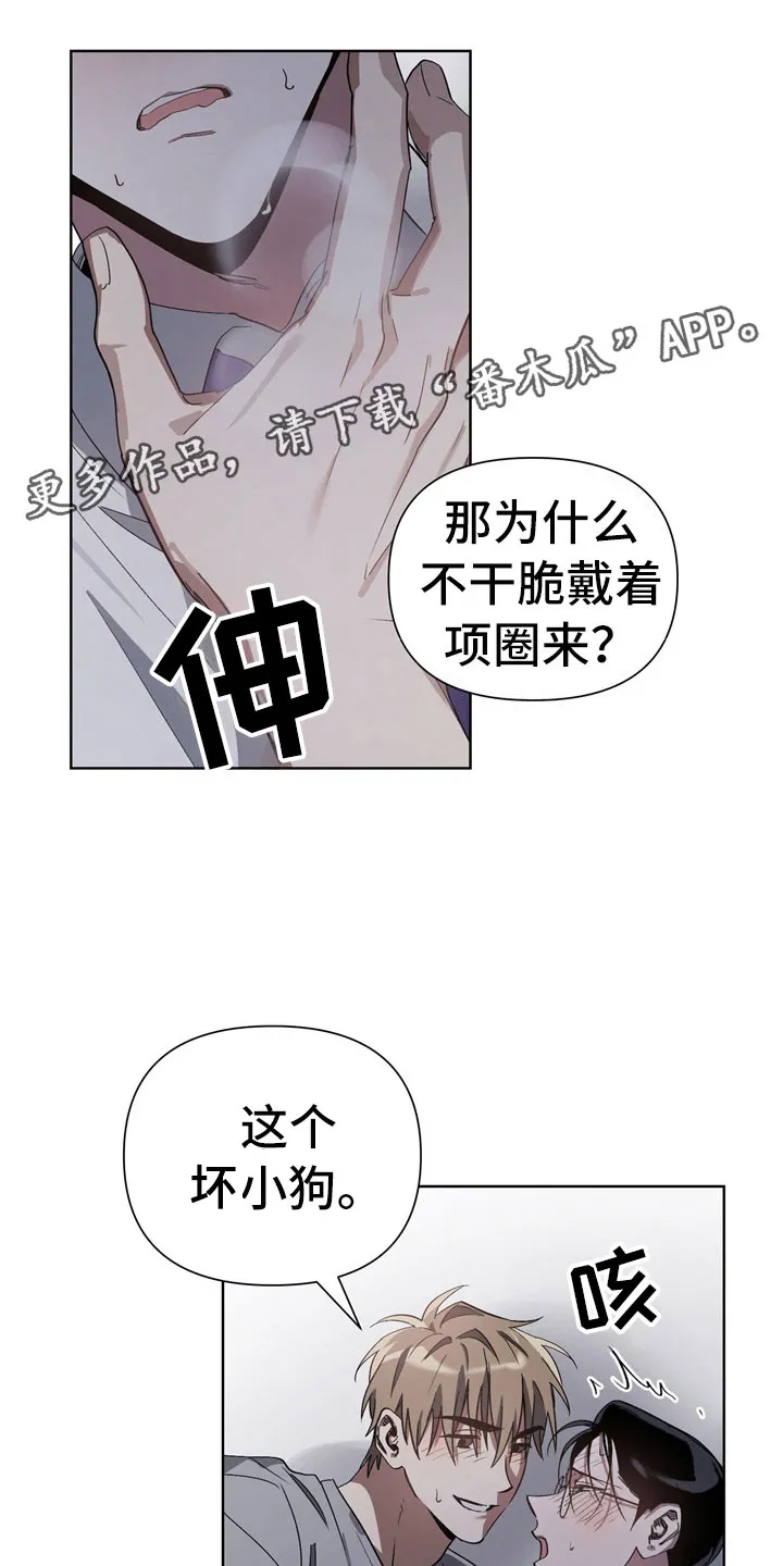 猜不到样子漫画漫画,第11章：坏小狗4图