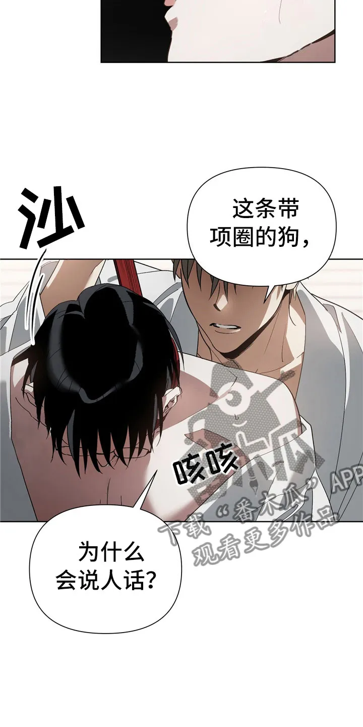 猜不到的动漫图片漫画,第7章：选择15图