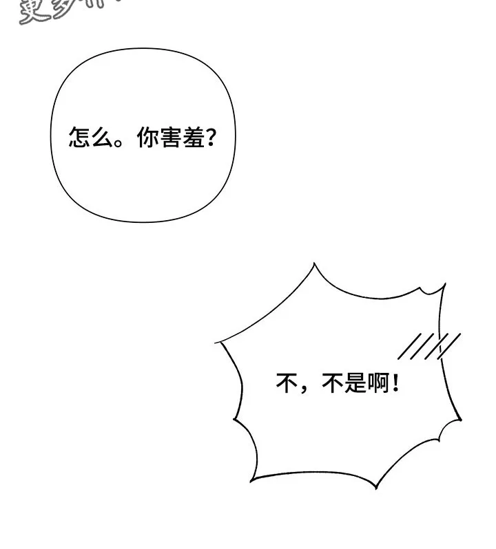 猜不到样子漫画漫画,第15章：害羞21图
