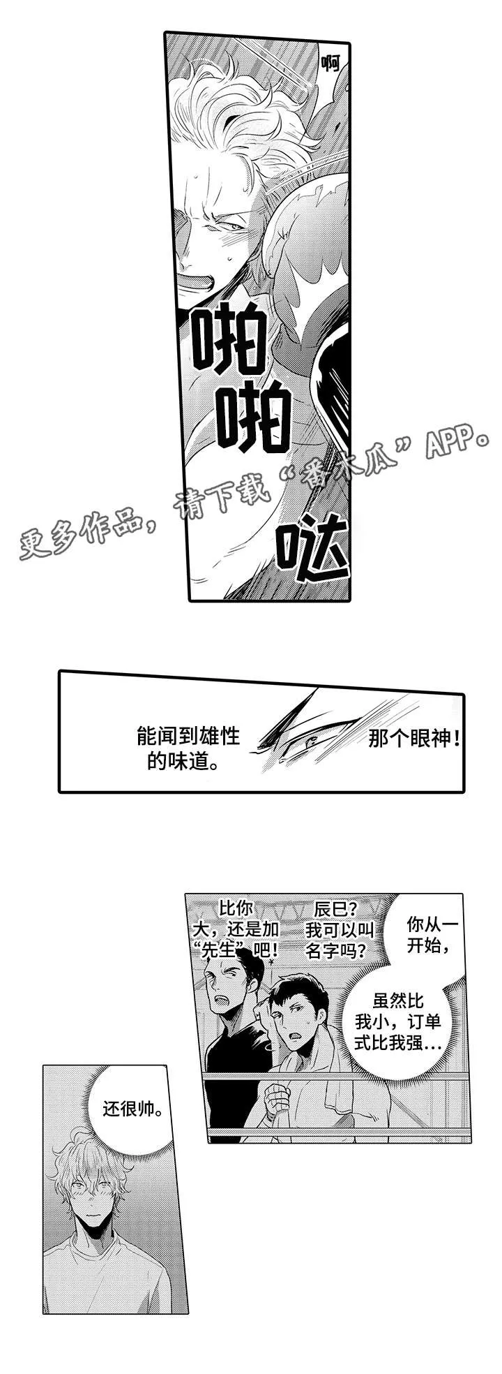 挑衅小说不甚了了免费阅读漫画,第11章：想什么7图