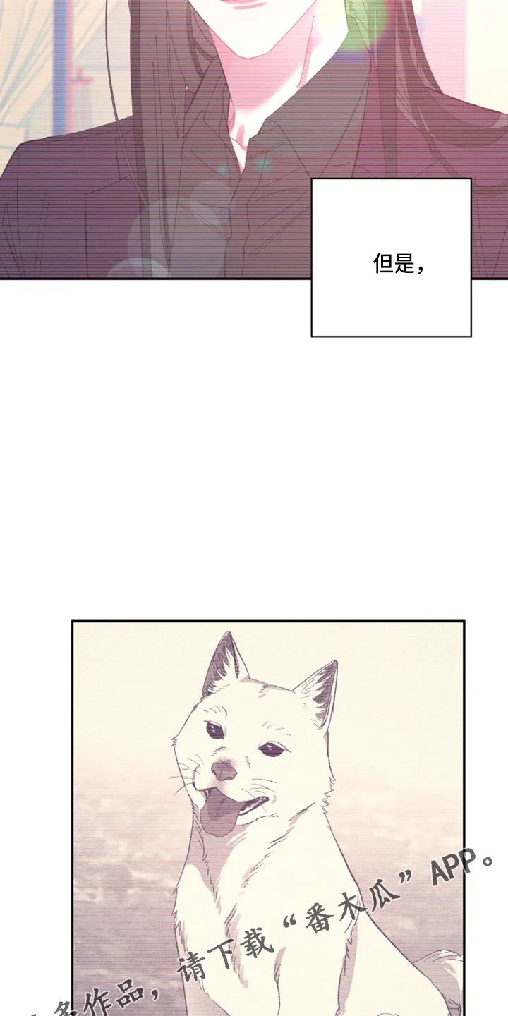 爱在来世漫画漫画,第95章：【第二季】当然不会12图