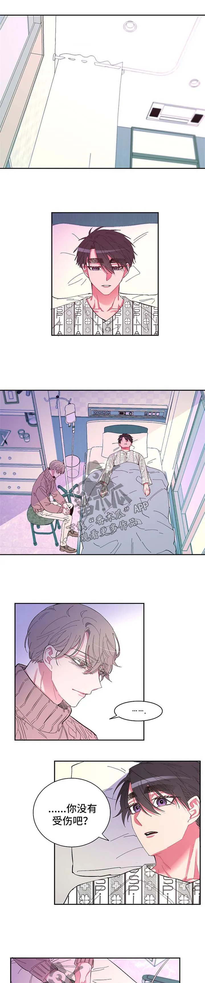 爱在来世漫画免费漫画,第48章：不想再失去你6图
