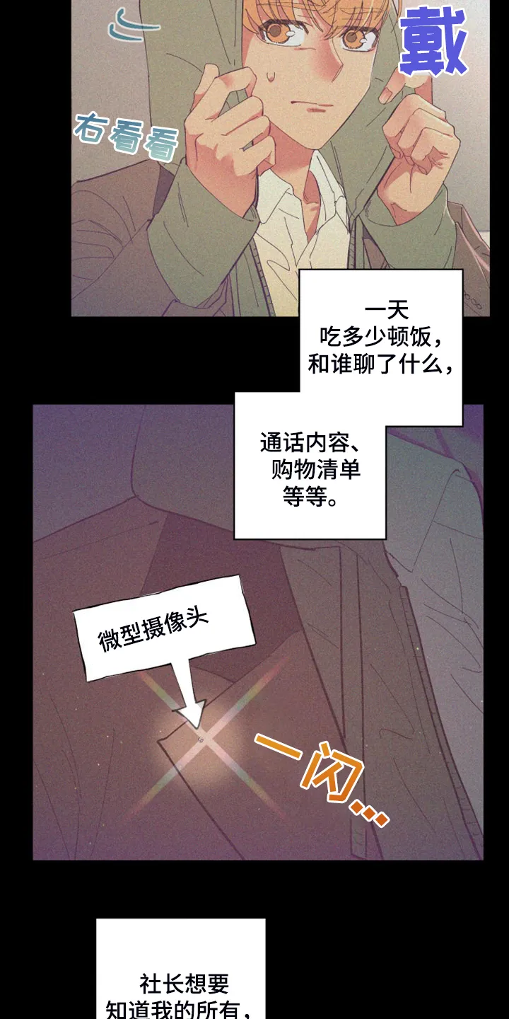 爱在来世漫画漫画,第87章：【第二季】校园传言17图
