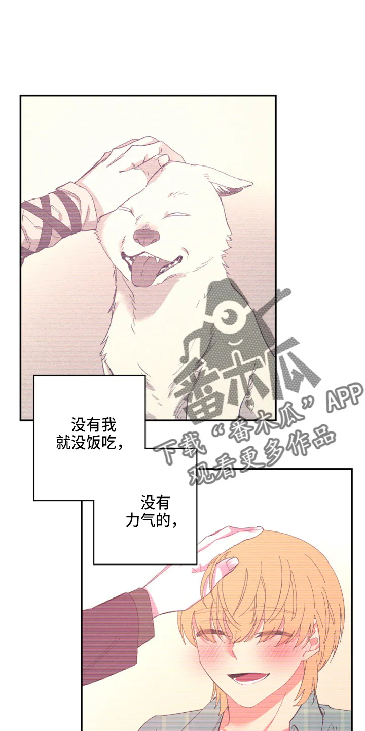 爱在来世漫画漫画,第95章：【第二季】当然不会14图