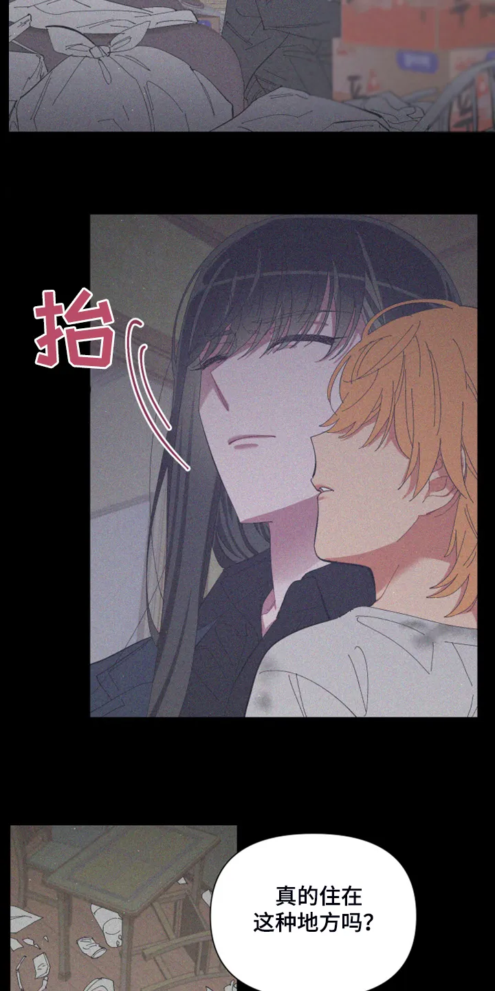 爱在来世漫画漫画,第83章：【第二季】跟她回家2图