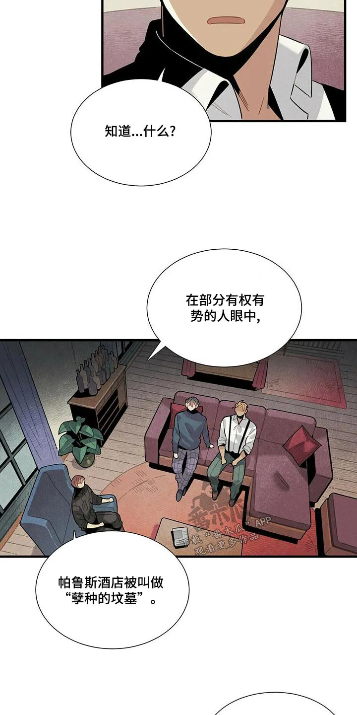 帕鲁斯旅馆漫画漫画,第79章：调查22图