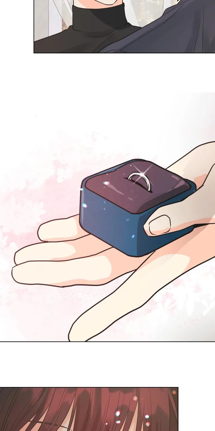 掌中玫瑰全文免费阅读无弹窗漫画,第139章：【第二季】戒指26图