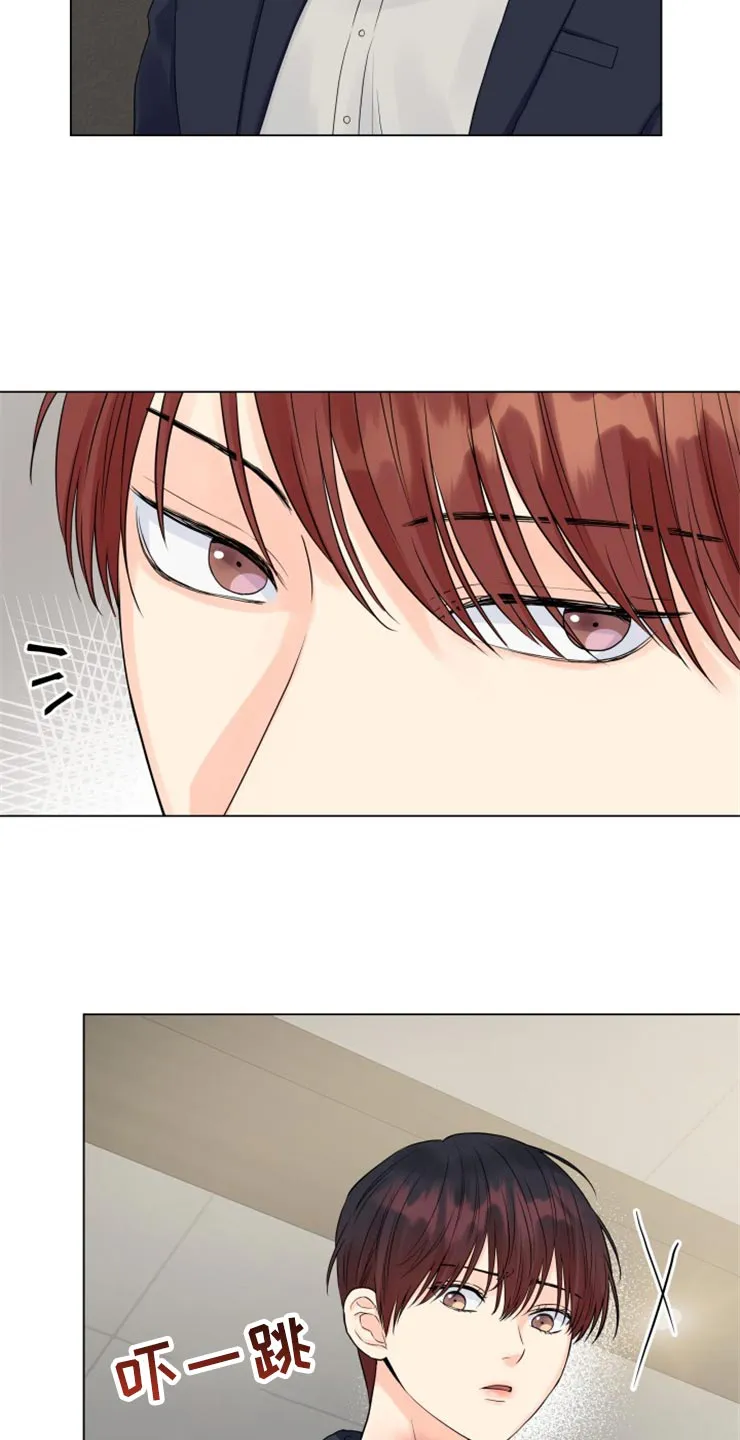 掌中玫瑰漫画漫画,第51章：太碍眼了9图