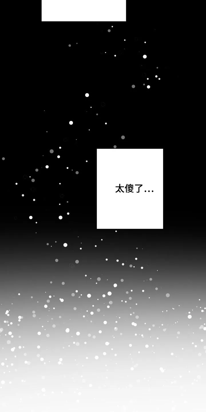 掌中玫瑰漫画漫画,第66章：那几句话很重要11图