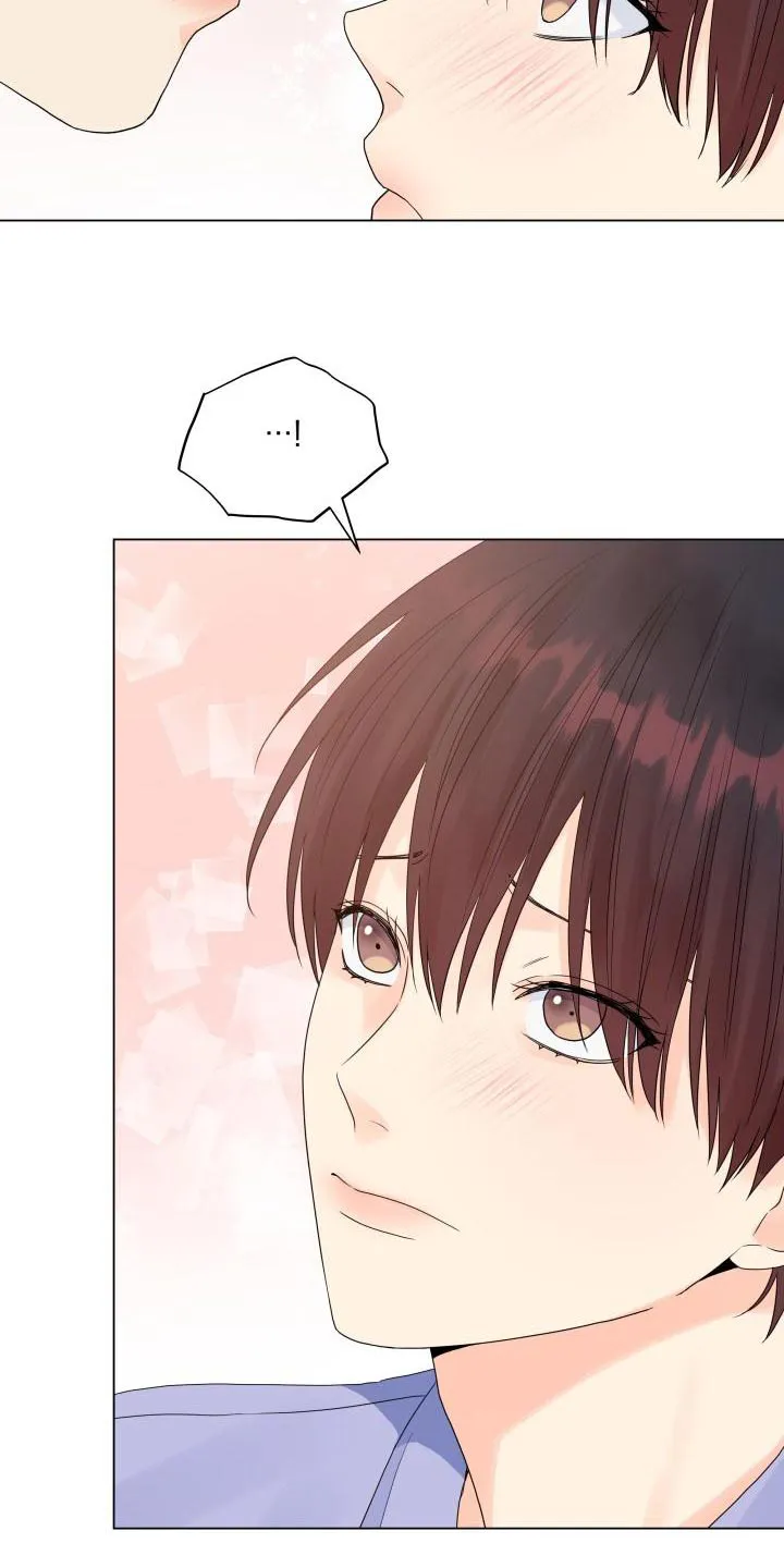 掌中玫瑰全文免费阅读无弹窗漫画,第74章：独自行动20图