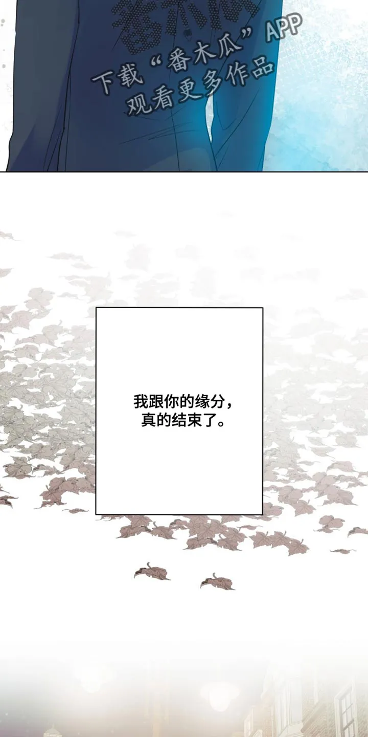 掌中玫瑰全文免费阅读无弹窗漫画,第139章：【第二季】戒指12图